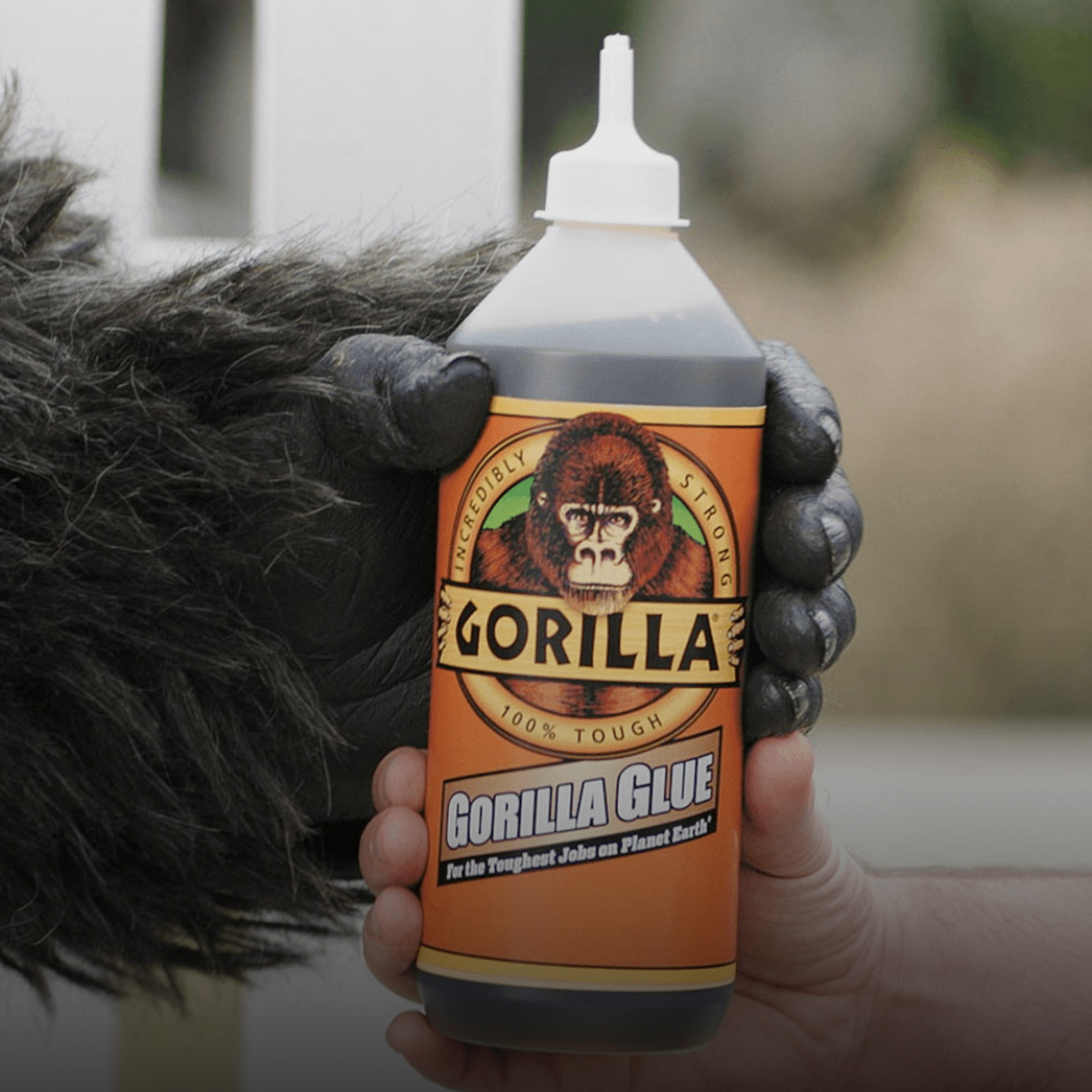 Gorilla Glue sales soar from entirely unsolicited social media windfall